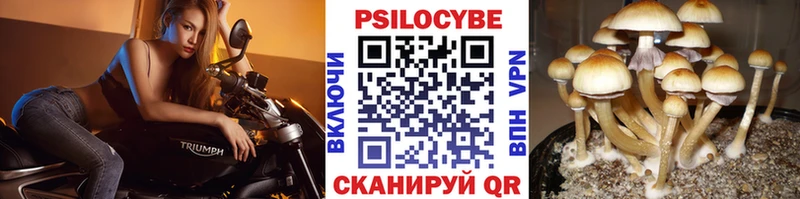 MEGA   Фатеж  Галлюциногенные грибы GOLDEN TEACHER 
